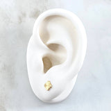 Stud Earrings Treból VCyA 0.55gr / 5mm Diamond Cut Yellow Gold Nac.Esp. 18K ©