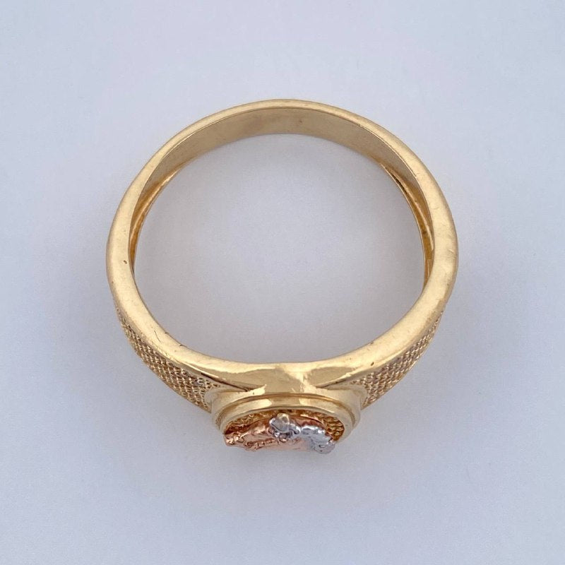 Anillo Herradura Caballo 6.85gr / T11 1/4 / Tres Oros 18K &