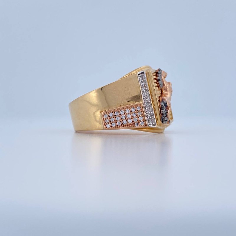 Anillo Caballo 9.25gr / T10 1/2 / Tres Oros 18K &
