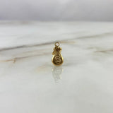 Dije Bolsa De Dinero 0.35 g / 3/4 in Oro Amarillo 18K