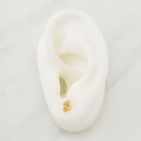 Topos Oso Ts Tupido 0.9gr / 5.55mm Oro Amarillo 18K !