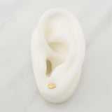 Topos Ala 0.5 g / in / 8 mm Oro Amarillo 18K