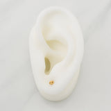 Topos Gc 0.45 g / in / 4 mm Oro Amarillo 18K