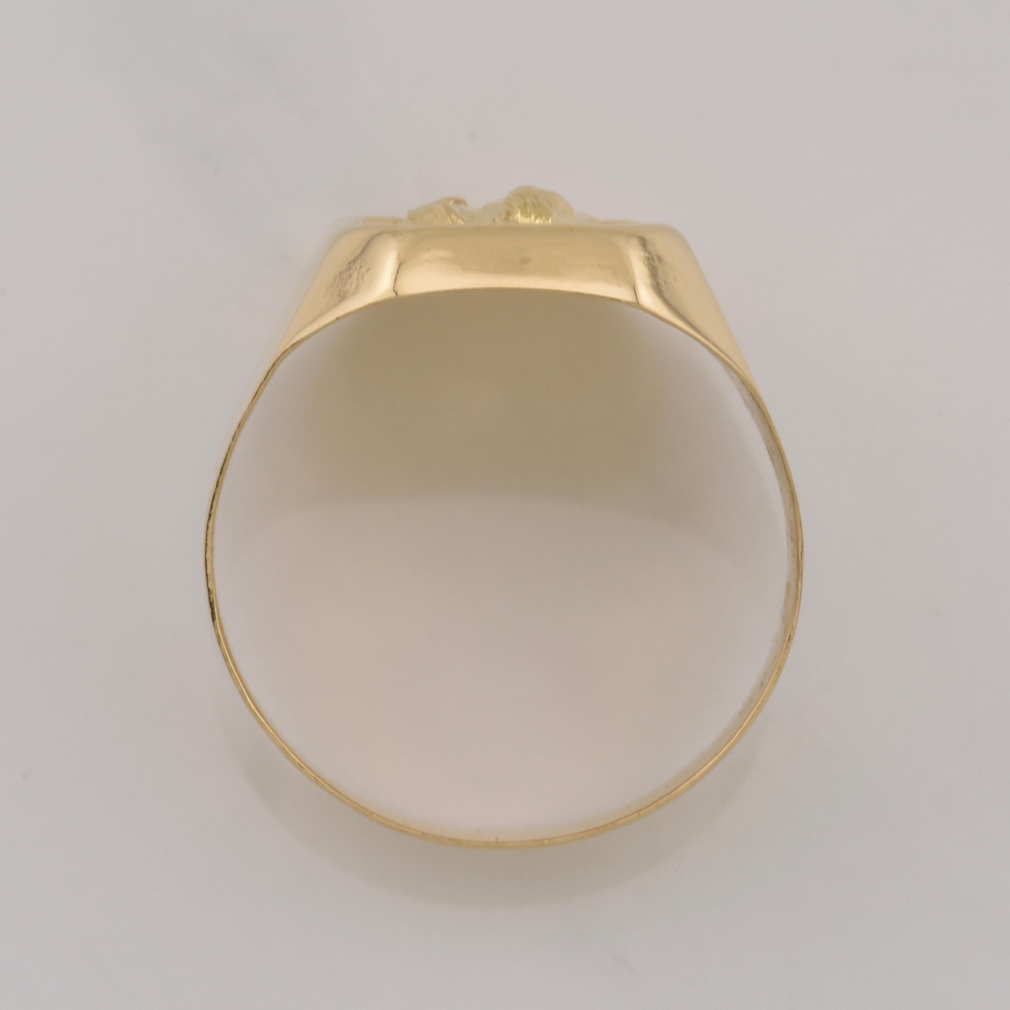 Horse Ring 3.7g / T9 Yellow Gold 18K