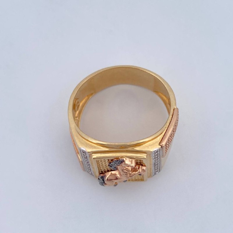 Anillo Caballo 9.25gr / T10 1/2 / Tres Oros 18K &