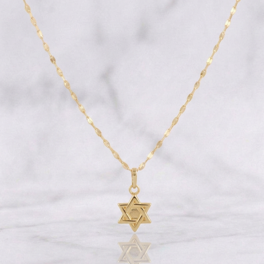 Set Cadena Flor Espejo + Dije Estrella de David / 1.2g / 18 in Oro Amarillo 18K