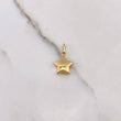 Pendant Star 0.8gr / 2.2cm / Yellow Gold Blown $