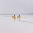 Topos Corona Real 0.85gr / Circones Blancos Verde Oro Amarillo $