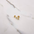Stud Earrings Heart Silhouette 0.75gr / White Zircon Yellow Gold $