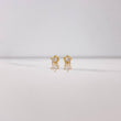 Topos Estrella 0.85gr / Circon Blanco Oro Amarillo &