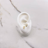 Stud Earrings Earrings 1gr / White Zircons Yellow Gold $