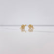 Topos Serpiente 0.85gr / Circones Blancos Oro Amarillo 18K &