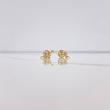 Topos Serpiente 0.85gr / Circones Blancos Oro Amarillo 18K &
