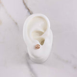 Topos Bola Lisa 0.55gr / 6mm Oro Rosa $