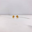 Topos Serpiente Enrroscada 0.6gr / Oro Amarillo $