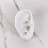 Stud Earrings Double Studs 0.5gr / Smooth Yellow Gold &
