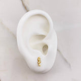 Stud Earrings Seahorse 0.75gr / White Zircons Yellow Gold &