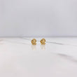 Topos Leon 0.5gr / Lisos Oro Amarillo &