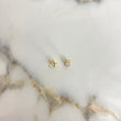 Stud Earrings Bow 0.9gr / White Zircon Yellow Gold &