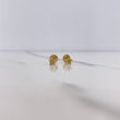 Stud Earrings Star 0.7gr / White Zircon Yellow Gold $