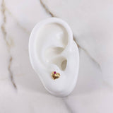 Topos Corazon 0.7gr / Troquelado Circon Fucsia Oro Amarillo &