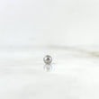 Bola Lisa 4mm Oro Blanco
