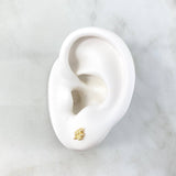 Topos Rama 0.8gr / 0.8cm / Circones Blancos Oro Amarillo *