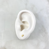 Stud Earrings Wing 0.45gr / 18K Gold ©
