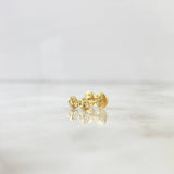Stud Earrings GC 0.5gr / 18K Yellow Gold ©