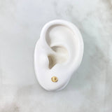 Stud Earrings GC 0.5gr / 18K Yellow Gold ©