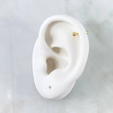 Straight Spark Piercing 0.25gr / 1.3cm / Bead 3mm - Bead 18K Yellow Gold Thread (Jewel) *