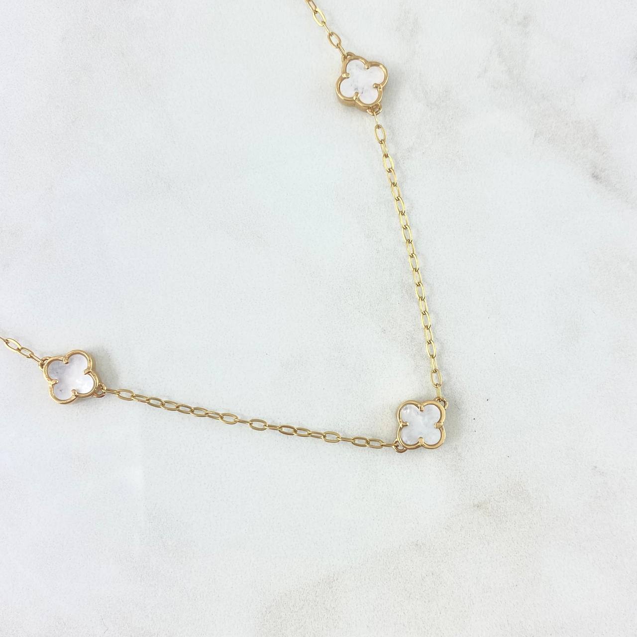 Chain Box Clover VCyA 7.35gr / 45cm / Smooth White Mother-of-Pearl Yellow Gold