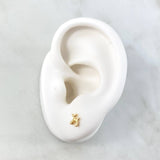 Stud Earrings Dog Balloon 0.85gr / 5mm Smooth Yellow Gold