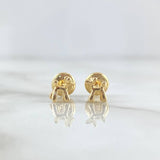 Stud Earrings Dog Balloon 0.85gr / 5mm Smooth Yellow Gold