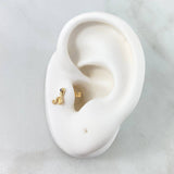 Piercing Serpiente 0.5gr / 6mm / Circon Azul Broche Mariposa Oro Amarillo (Joya) ©