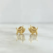 Topos Perro Schnauzer 0.6gr / 7mm Liso Oro Amarillo 18K