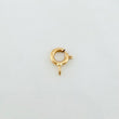 Reasa 0.1 g Oro Amarillo 18K