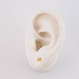 Diamond Cut Bead Top Piercing 0.3g / 1/2 in 18K Yellow Gold