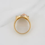 Anillo Caballo 8 g / T10 Tres Oros 18K