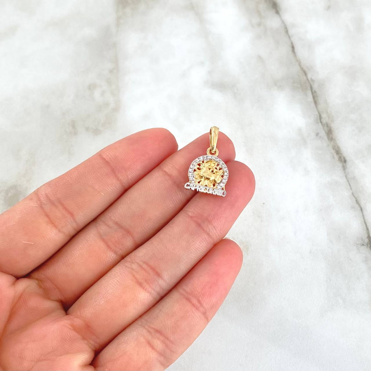 Dije Signo Capricornio 1.8gr / 2.5cm / Circones Blancos Oro Amarillo 18K ©