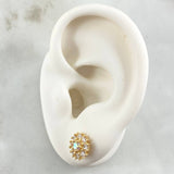 Stud Earrings 3.5gr / Spanish Pearl 18K Gold ©