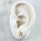 Stud Earrings Sea 0.95gr / 18K Gold ©