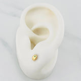 Topos Grano De Café 0.7 g / in / 3.93 mm Oro Amarillo 18K