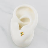 Topos Libelula 0.7 g / in / 5.52 mm Oro Amarillo 18K
