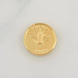 Charm Holy Spirit 0.8g / 1/2 in Yellow Gold 18K