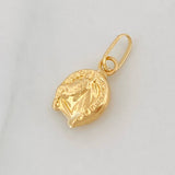 Pendant Horse Shoe 0.35g / 1/2 in Yellow Gold 18K