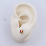 Topos Bisel 0.85gr / 1 1/2 in / Oro Amarillo 18K &