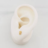 Topos Oso Ts 0.65 g / in / 2 mm Oro Amarillo 18K