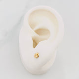 Topos Gc 0.5 g / in / 3.65 mm Oro Amarillo 18K