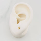 Topos Gc 0.5 g / in / 2.5 mm Oro Amarillo 18K